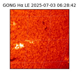 gong - 2025-07-03T06:28:42