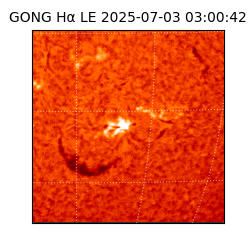 gong - 2025-07-03T03:00:42