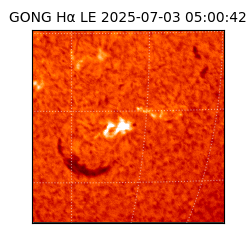 gong - 2025-07-03T05:00:42