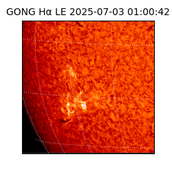 gong - 2025-07-03T01:00:42