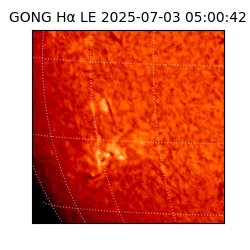 gong - 2025-07-03T05:00:42
