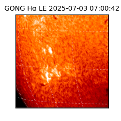 gong - 2025-07-03T07:00:42