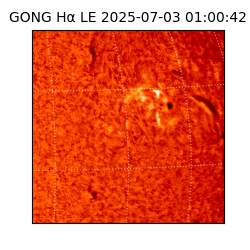 gong - 2025-07-03T01:00:42
