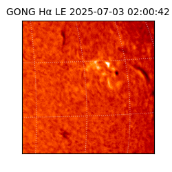 gong - 2025-07-03T02:00:42