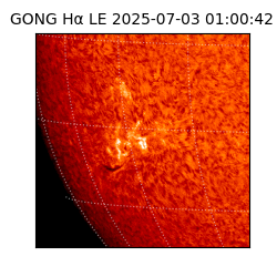 gong - 2025-07-03T01:00:42