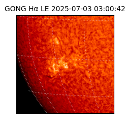 gong - 2025-07-03T03:00:42
