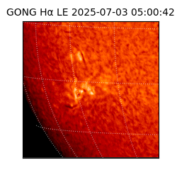 gong - 2025-07-03T05:00:42