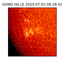 gong - 2025-07-03T06:28:42