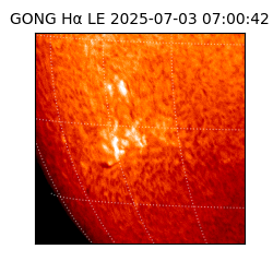 gong - 2025-07-03T07:00:42