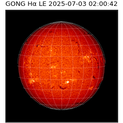 gong - 2025-07-03T02:00:42