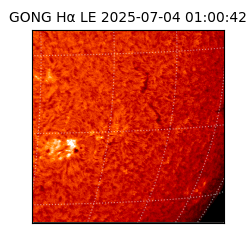 gong - 2025-07-04T01:00:42