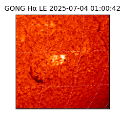 gong - 2025-07-04T01:00:42
