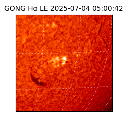 gong - 2025-07-04T05:00:42