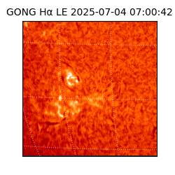 gong - 2025-07-04T07:00:42