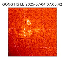 gong - 2025-07-04T07:00:42