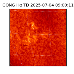 gong - 2025-07-04T09:00:11