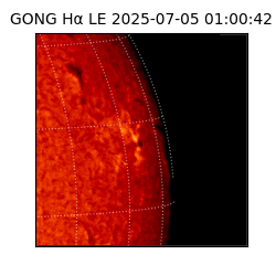 gong - 2025-07-05T01:00:42