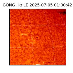 gong - 2025-07-05T01:00:42