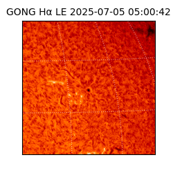 gong - 2025-07-05T05:00:42