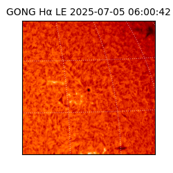 gong - 2025-07-05T06:00:42