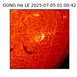 gong - 2025-07-05T01:00:42