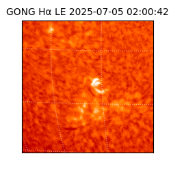 gong - 2025-07-05T02:00:42