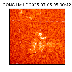 gong - 2025-07-05T05:00:42