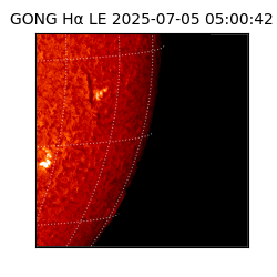 gong - 2025-07-05T05:00:42