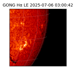 gong - 2025-07-06T03:00:42