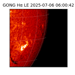 gong - 2025-07-06T06:00:42