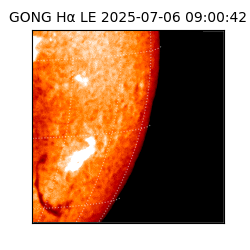 gong - 2025-07-06T09:00:42