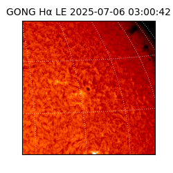 gong - 2025-07-06T03:00:42