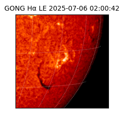 gong - 2025-07-06T02:00:42