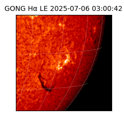 gong - 2025-07-06T03:00:42
