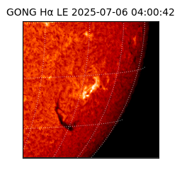 gong - 2025-07-06T04:00:42