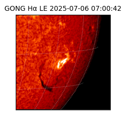 gong - 2025-07-06T07:00:42