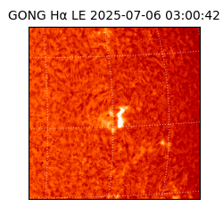 gong - 2025-07-06T03:00:42