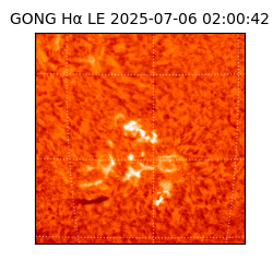 gong - 2025-07-06T02:00:42