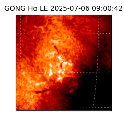 gong - 2025-07-06T09:00:42