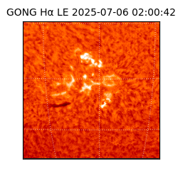 gong - 2025-07-06T02:00:42