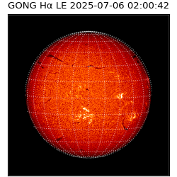 gong - 2025-07-06T02:00:42