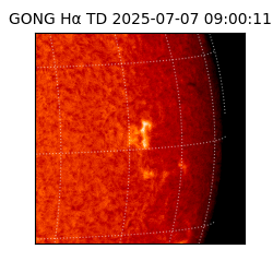 gong - 2025-07-07T09:00:11