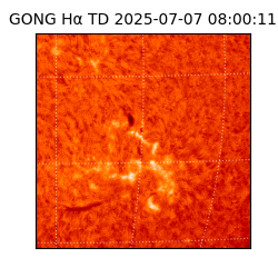 gong - 2025-07-07T08:00:11