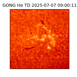 gong - 2025-07-07T09:00:11