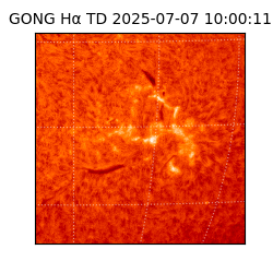 gong - 2025-07-07T10:00:11