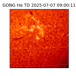gong - 2025-07-07T09:00:11
