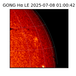 gong - 2025-07-08T01:00:42