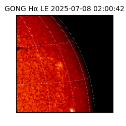 gong - 2025-07-08T02:00:42