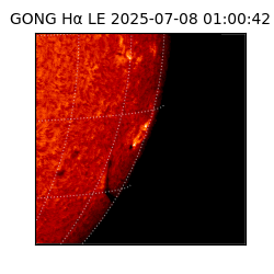 gong - 2025-07-08T01:00:42