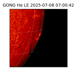 gong - 2025-07-08T07:00:42